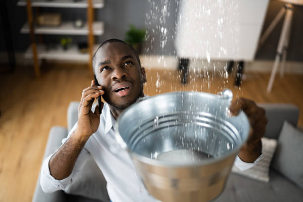 Best Local water damage restoration  in Leoti, KS