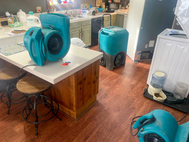 Best Carpet water damage restoration  in Leoti, KS