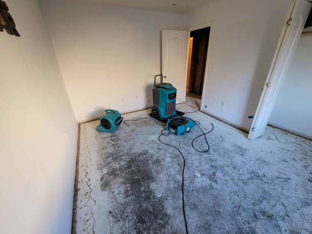 Best Commercial water damage restoration  in Leoti, KS