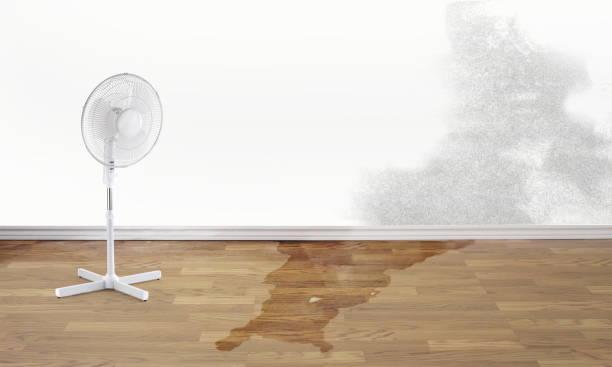 Best Water damage restoration near me  in Leoti, KS
