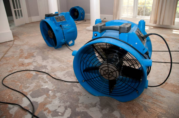 Best 24/7 water damage repair  in Leoti, KS