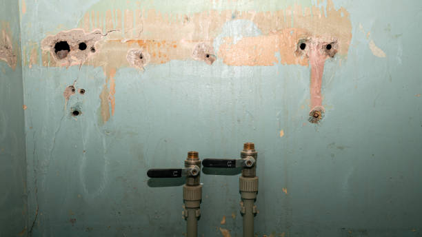 Best Professional water damage repair  in Leoti, KS