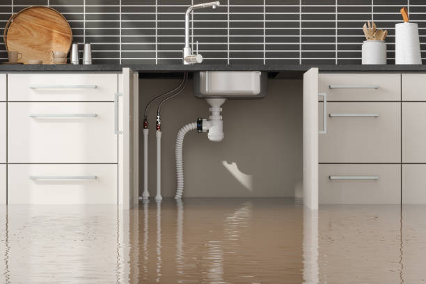 Best Ceiling water damage repair  in Leoti, KS