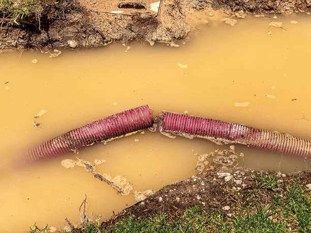 Best Water damage cleanup near me  in Leoti, KS